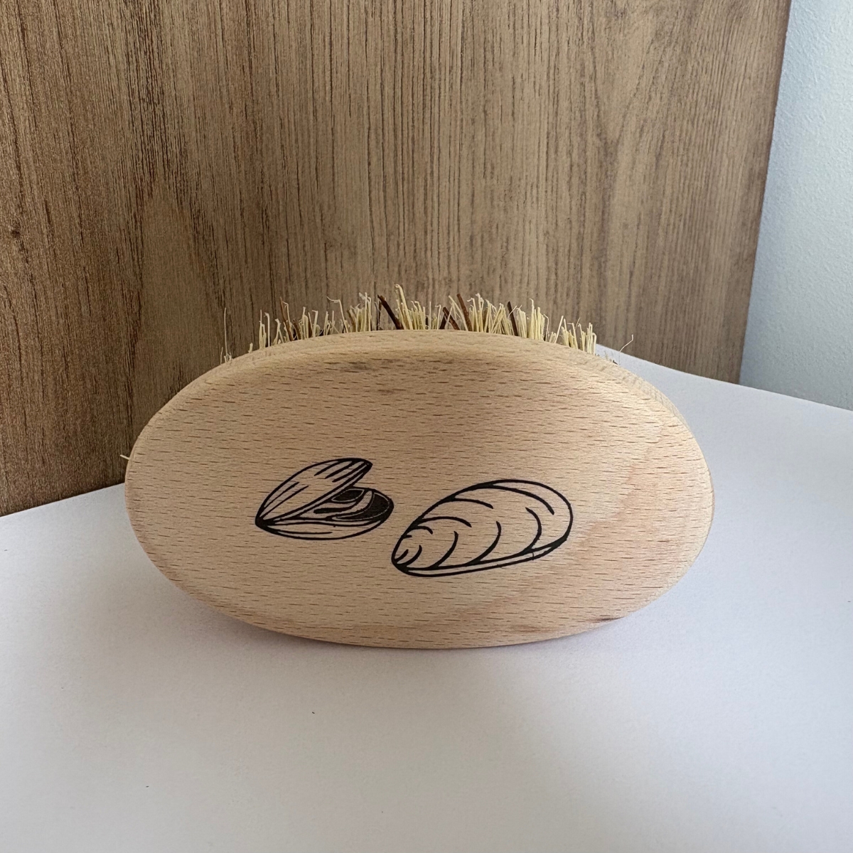 Brosse pour coquillage
